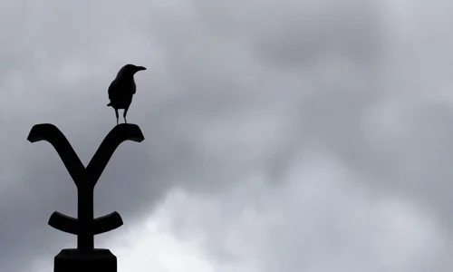 Йеллоустоун 4 сезон 6 серия